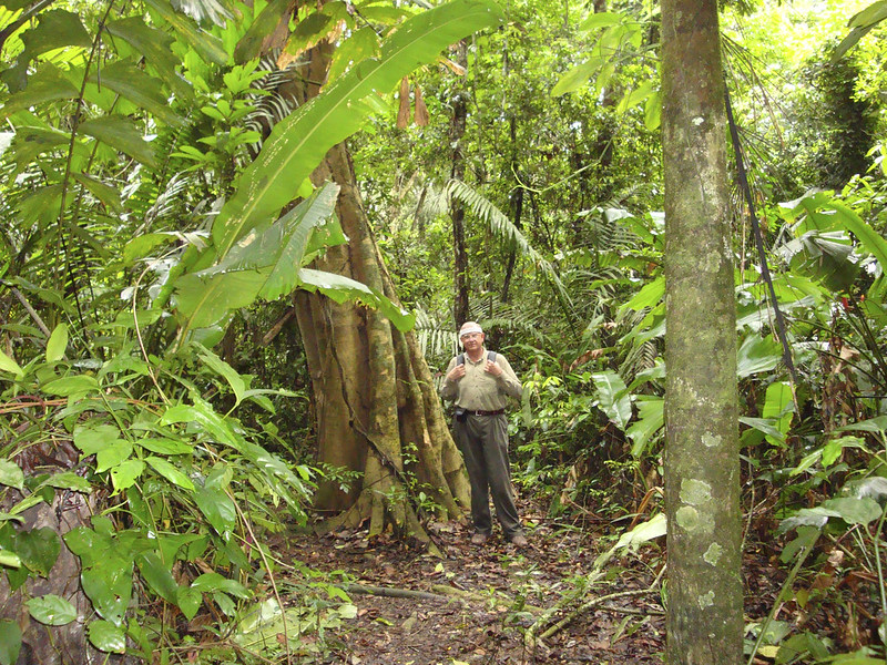 Peru Sandoval Lake, Amazon jungle tours 3 day